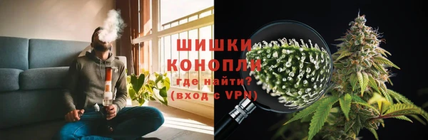 прущие грибы Абинск
