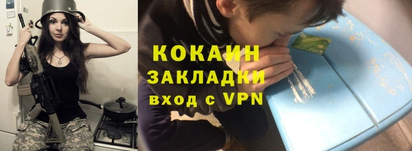 прущие грибы Абинск
