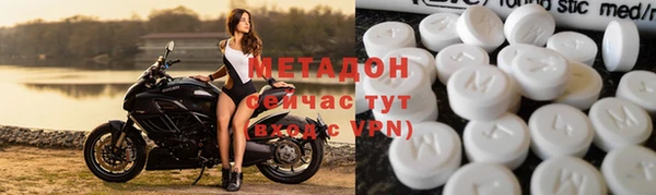 прущие грибы Абинск