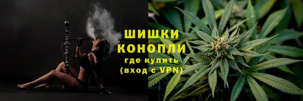 эйфоретик Осинники