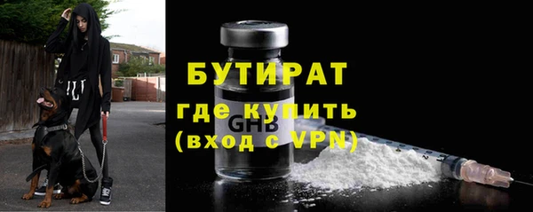 прущие грибы Абинск