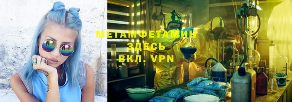 прущие грибы Абинск